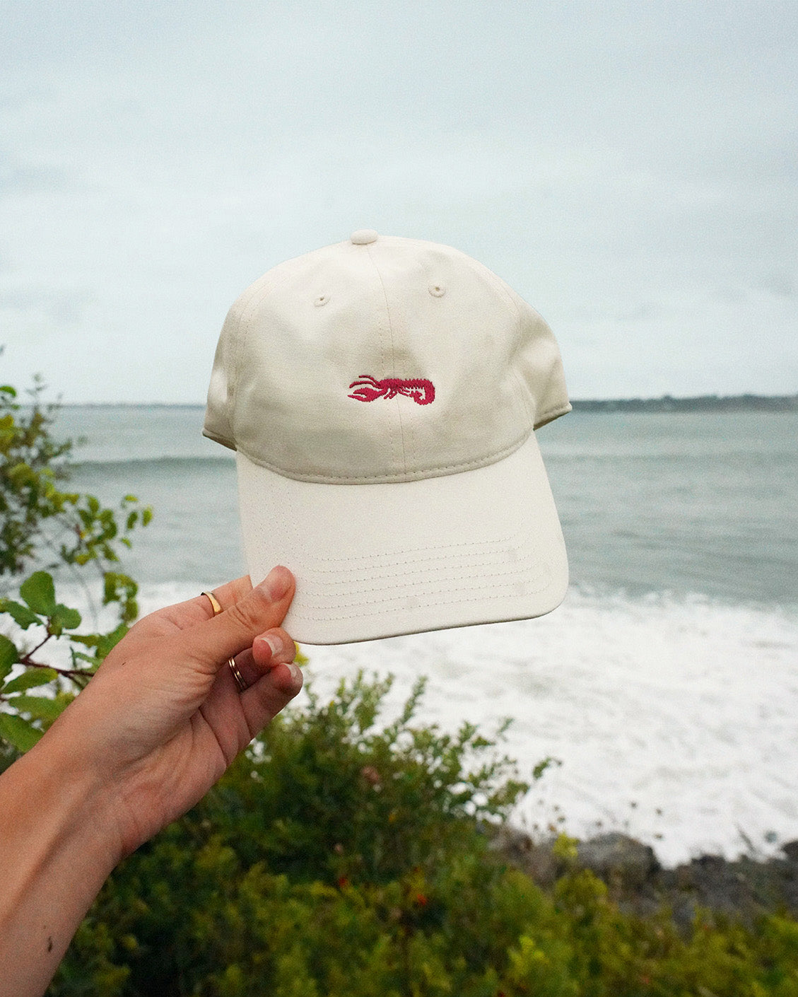 Tiny Lobster Dad Hat
