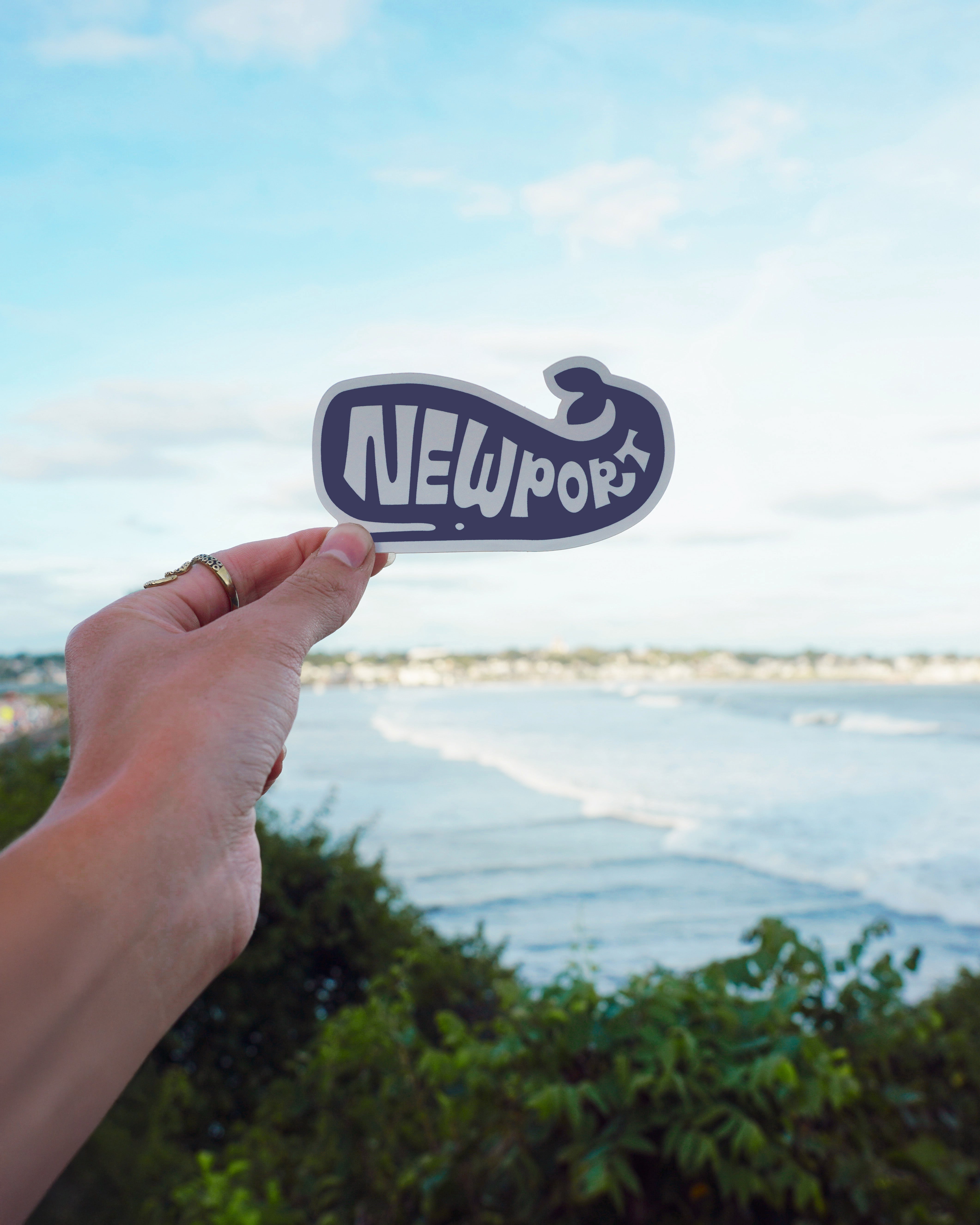 Whale Sticker
