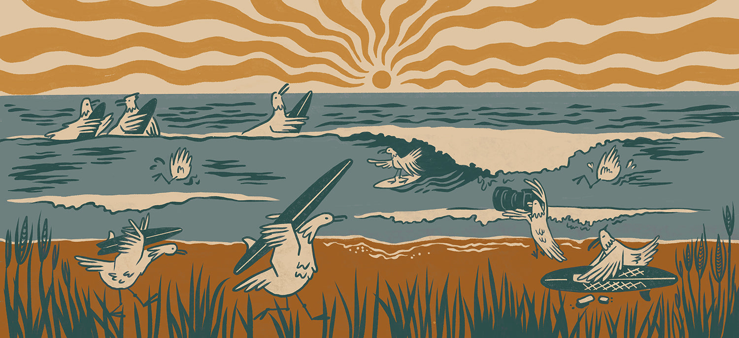 Surfing Seagulls Print